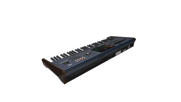 KORG Entertainer Keyboard, Pa5X MUSIKANT, 61 Tasten