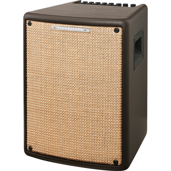 Ibanez T80II Acoustic-Combo