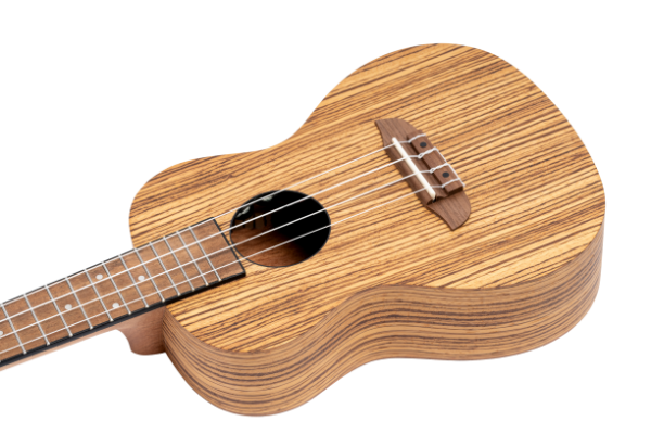Ortega RFU11ZE-L Zebraholz Konzert Ukulele mit Tonabnehmer Lefthand !!!