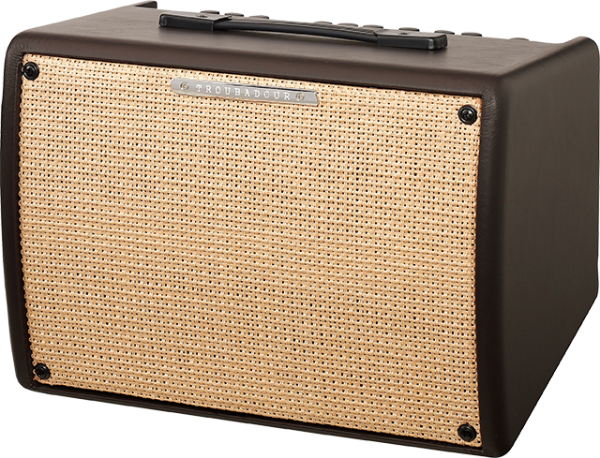 Ibanez T30II Acoustic-Combo